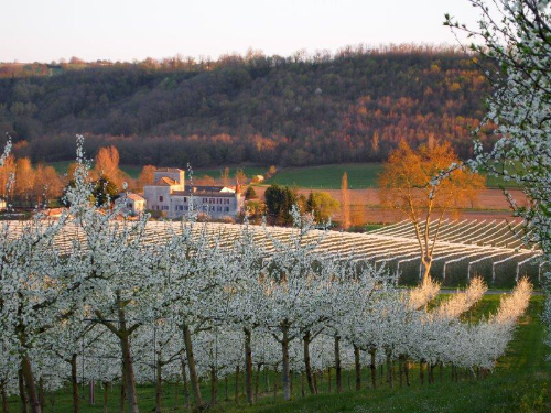 Le domaine de Ferrussac, vue du jardin au printemps
